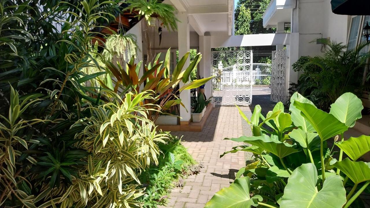 Surokarsan 9 House Yogyakarta Hotel Ngoại thất bức ảnh